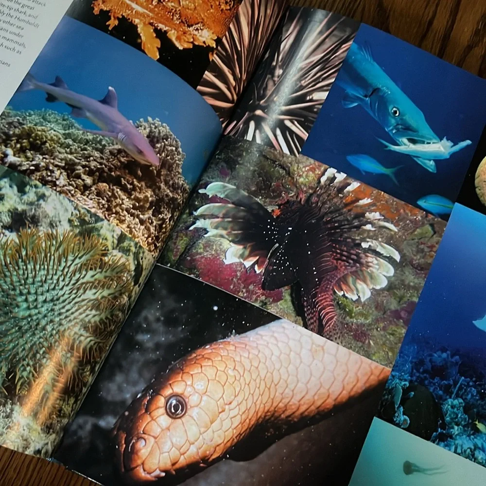 Hidden depths atlas of the oceans hardcover coffee table book 2007